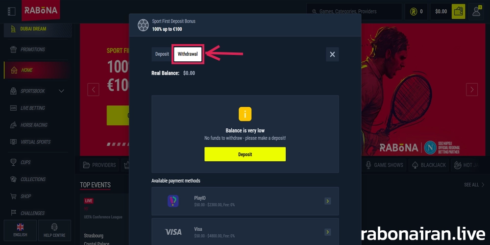 آموزش برداشت حساب از رابونا
